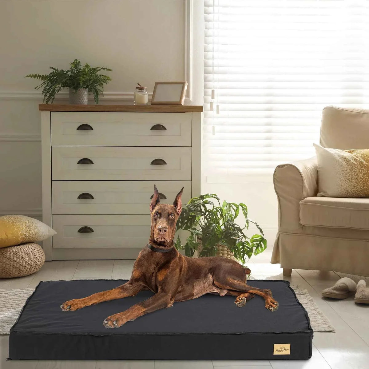 BingoPaw Orthopedic Foam Dog Bed with Washable Cover