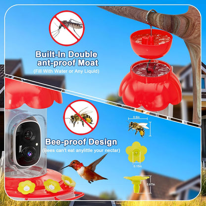 Solar Hummingbird Feeder with 1080p Camera — Red