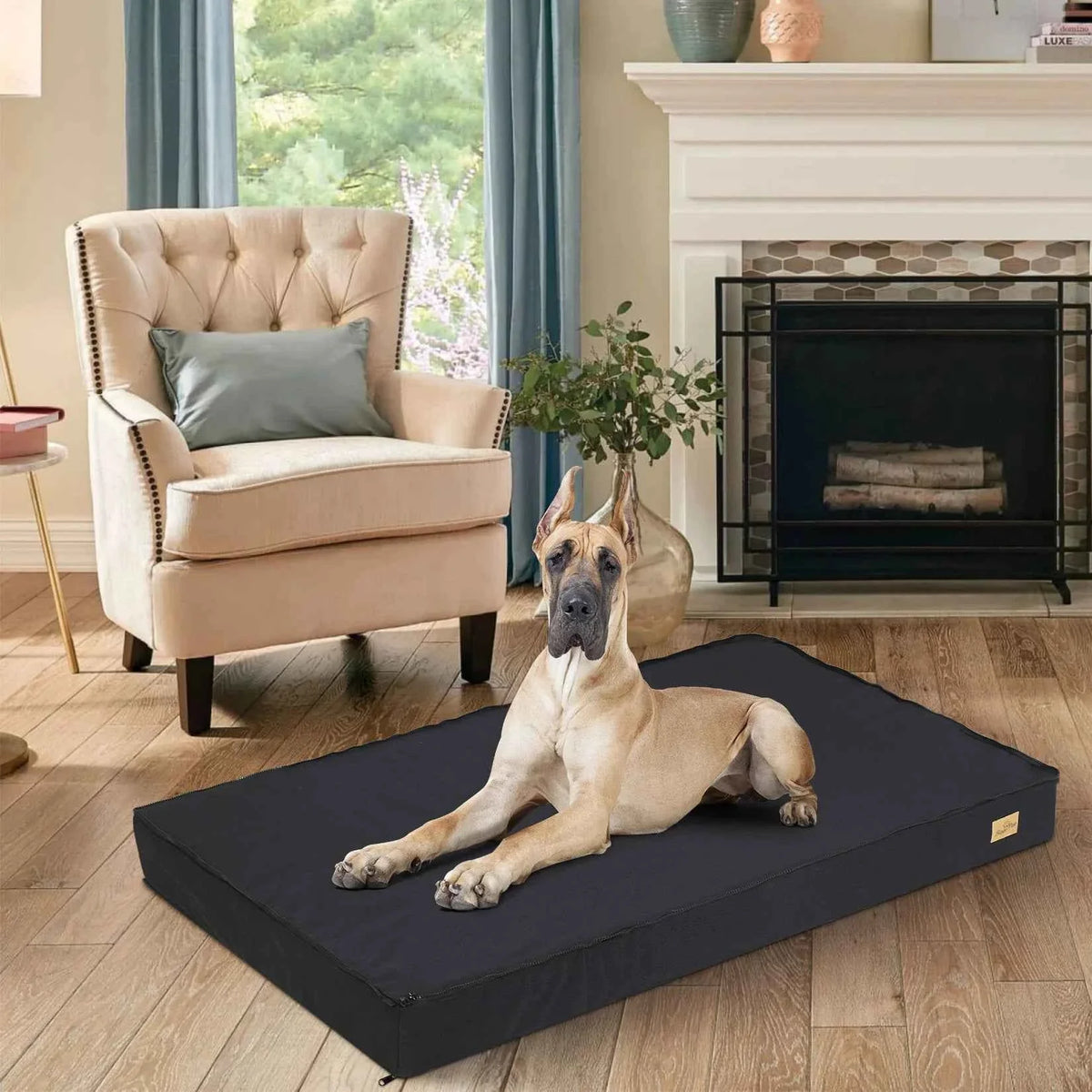 BingoPaw Orthopedic Foam Dog Bed with Washable Cover