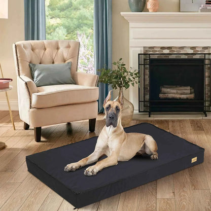 BingoPaw Orthopedic Foam Dog Bed with Washable Cover