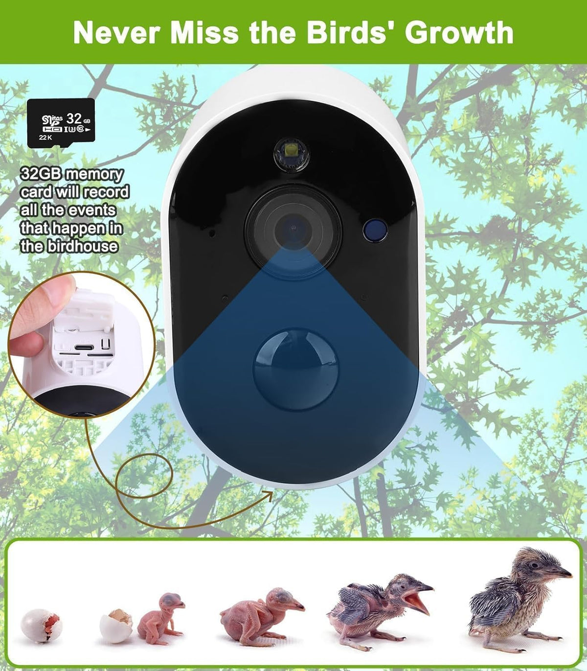 Solar Birdhouse with 1080p Nest Camera & 32 GB Card