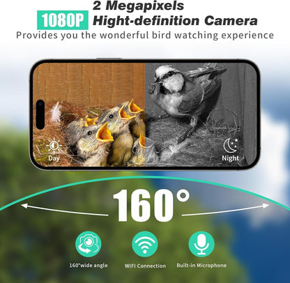 Solar Birdhouse with 1080p Nest Camera & 32 GB Card