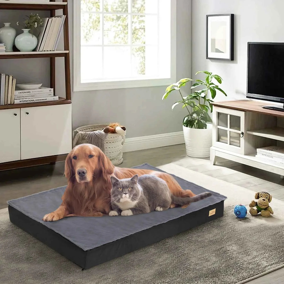 BingoPaw Orthopedic Foam Dog Bed with Washable Cover