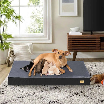 BingoPaw Orthopedic Foam Dog Bed with Washable Cover
