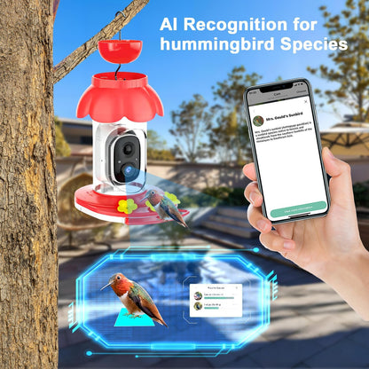 Solar Hummingbird Feeder with 1080p Camera — Red