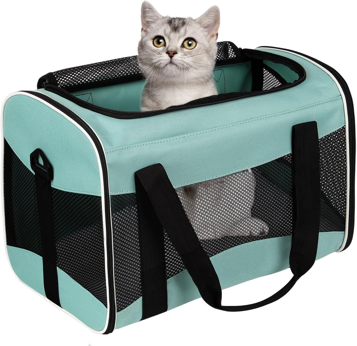 Soft-Sided Pet Travel Carrier for Cats & Small Dogs