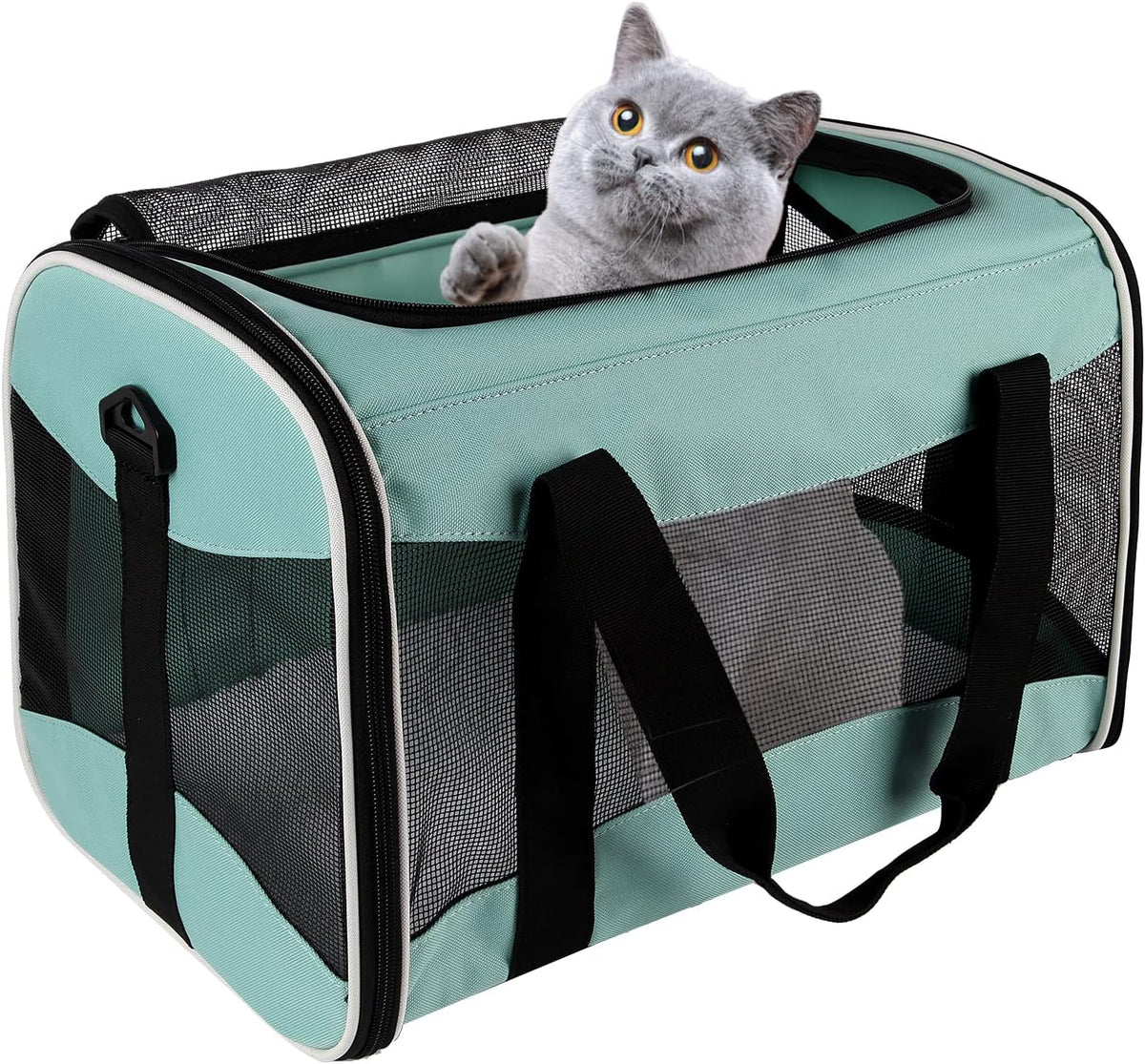 Soft-Sided Pet Travel Carrier for Cats & Small Dogs