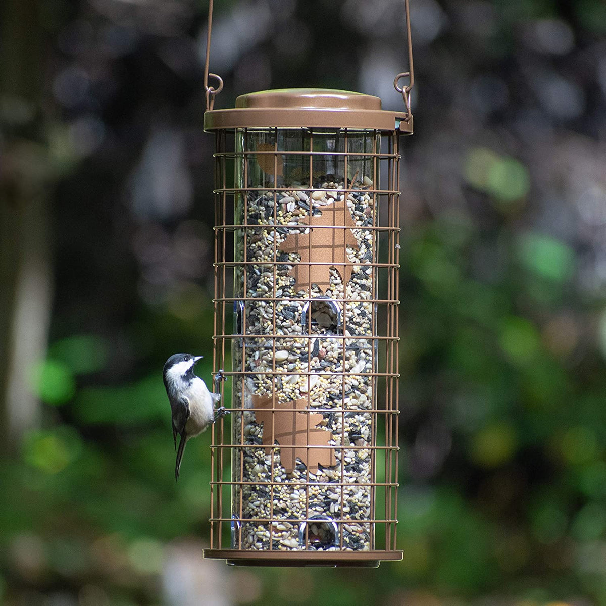 Squirrel Stumper Wild Bird Feeder, 8 Feeding Ports