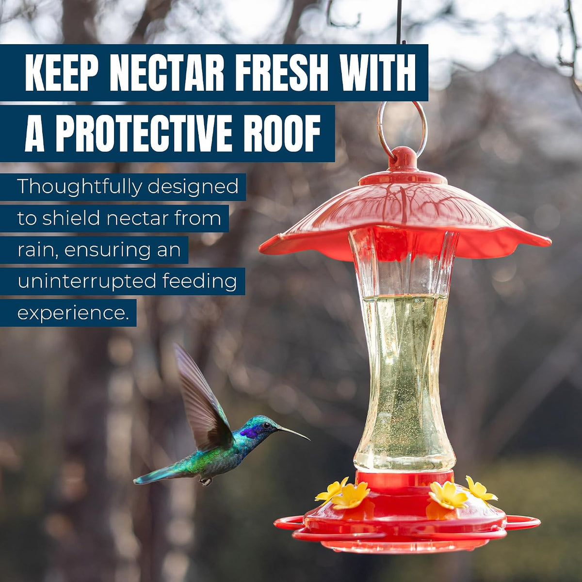 2-Pack 10 oz Glass Hummingbird Feeders