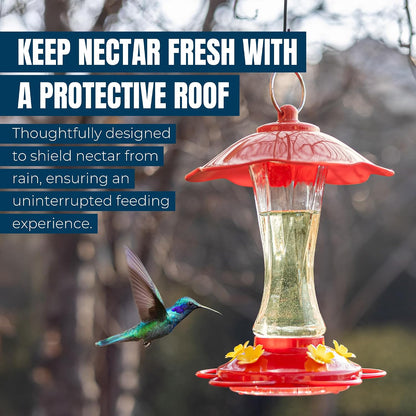 2-Pack 10 oz Glass Hummingbird Feeders