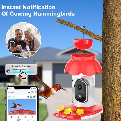 Solar Hummingbird Feeder with 1080p Camera — Red