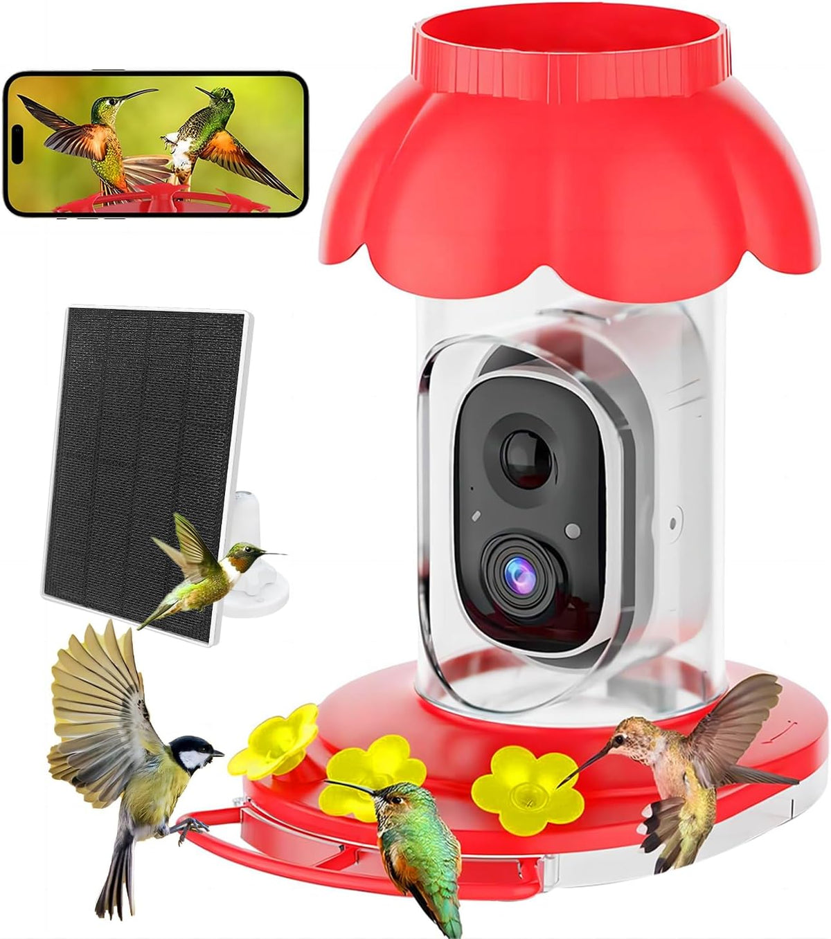 Solar Hummingbird Feeder with 1080p Camera — Red