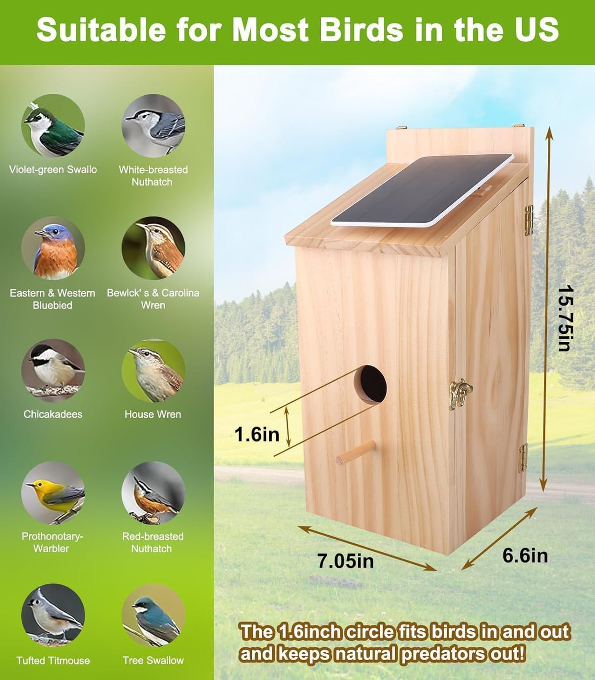 Solar Birdhouse with 1080p Nest Camera & 32 GB Card