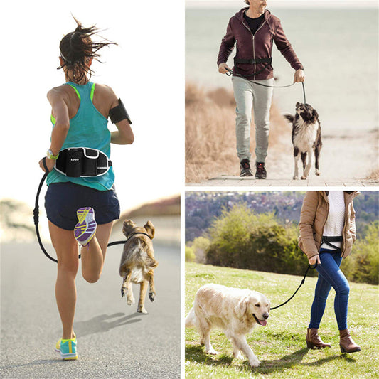 Dog Walking Waist Pouch