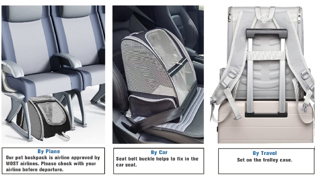 Ventilated Pet Carrier Backpack product detail